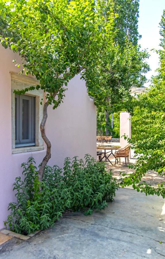 Serenity Village Apérathos Extérieur photo